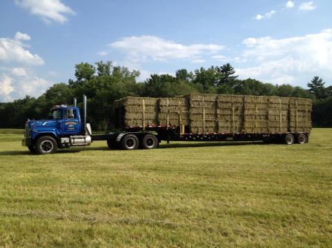 1004575_615085335176119_405260928_n