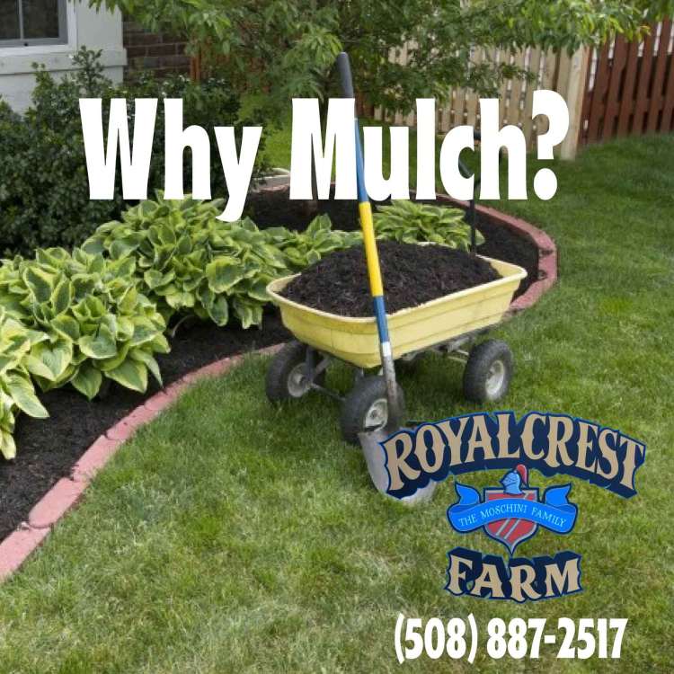 ALL FACEBOOK POST_Artboard 2a.jpg