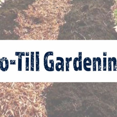 The ‘No-till’ Method of&nbsp;Gardening